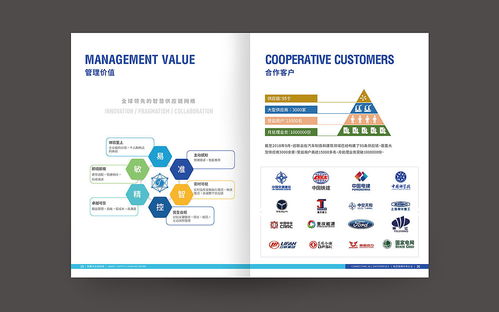 成都科技畫冊(cè)設(shè)計(jì) 互聯(lián)網(wǎng)畫冊(cè) 天宏訊聯(lián)畫冊(cè)