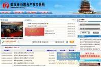 武漢網(wǎng)站設計與優(yōu)化推廣 一站式網(wǎng)絡宣傳解決方案