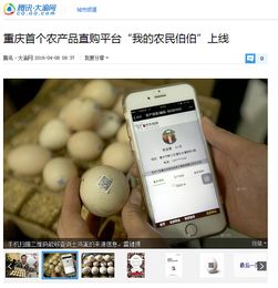 武漢互聯網農產品公司網站開發中的設計與插畫應用